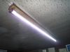LEDָƳ