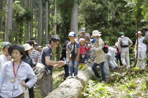 http://www.ip-nagano.com/index.php/movie